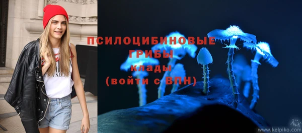 дурь Михайловка