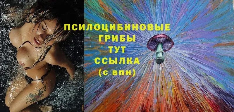 продажа наркотиков  Николаевск-на-Амуре  Галлюциногенные грибы MAGIC MUSHROOMS 