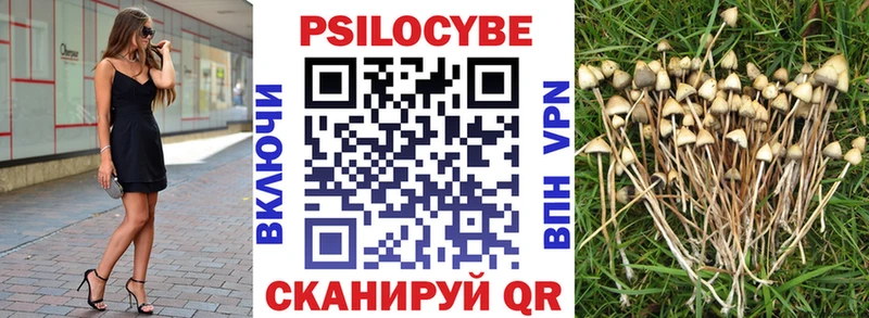 дарк нет официальный сайт  blacksprut ссылки  Николаевск-на-Амуре  Псилоцибиновые грибы GOLDEN TEACHER 
